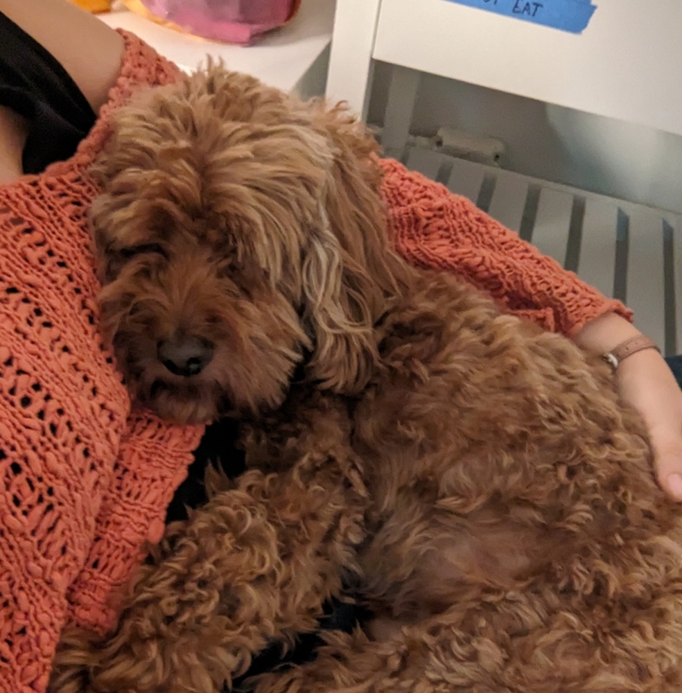 Meet your Posher, Isabelle